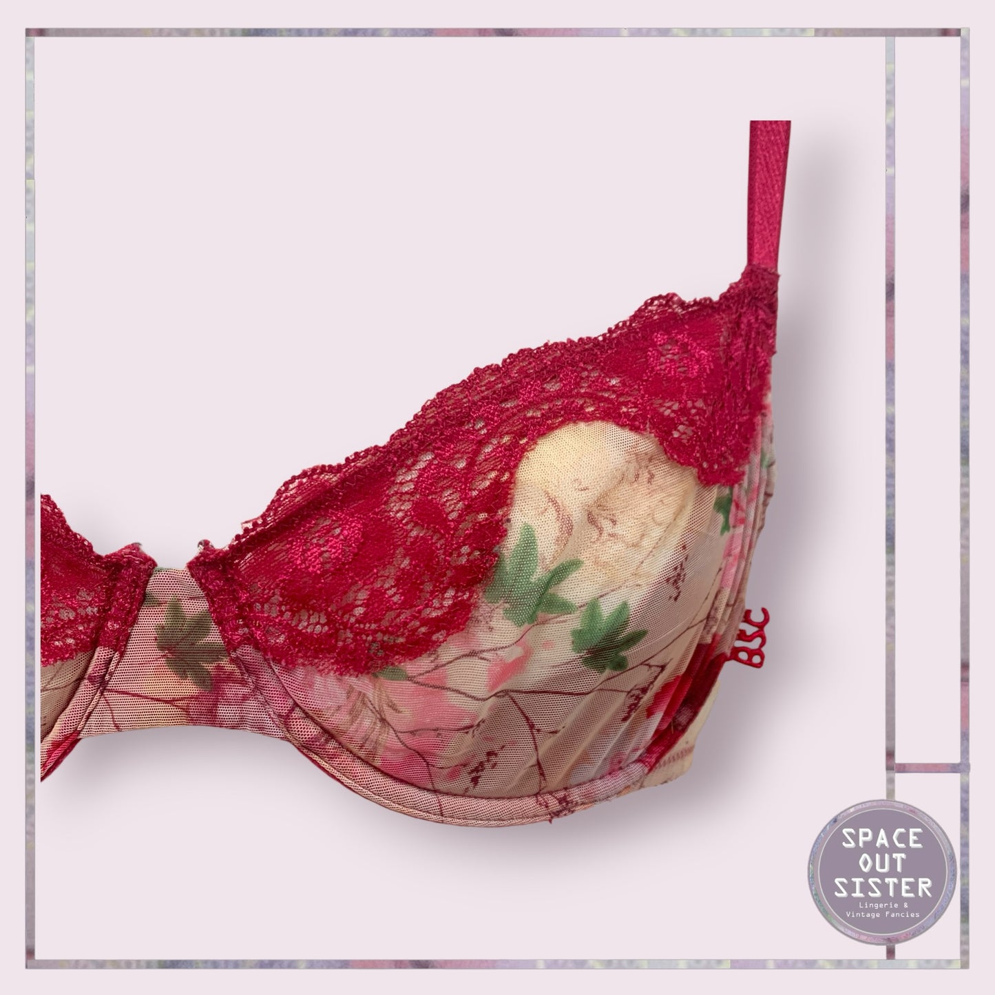 BSC Red Lace Bra