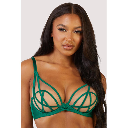 New Ramona Mesh Plunge Bra by Playful Promises